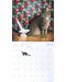 Wall Calendar 2018: Ivory Cats - 4t