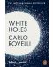 White Holes: Inside the Horizon - 1t