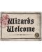 Табелка за врата Half Moon Bay - Harry Potter: Wizards Welcome - 1t