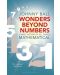 Wonders Beyond Numbers - 1t