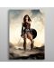 Метален постер Displate - DC Comics: Justice League Movie - Wonder Woman - 3t