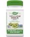 Yellow Dock Root, 100 капсули, Nature’s Way - 1t