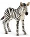 Фигурка Schleich Wild Life - Бебе зебра - 1t