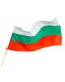 Знаме на България с дървена дръжка - 40 х 66 cm - 1t