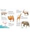 Zoo Animals to Spot - 2t