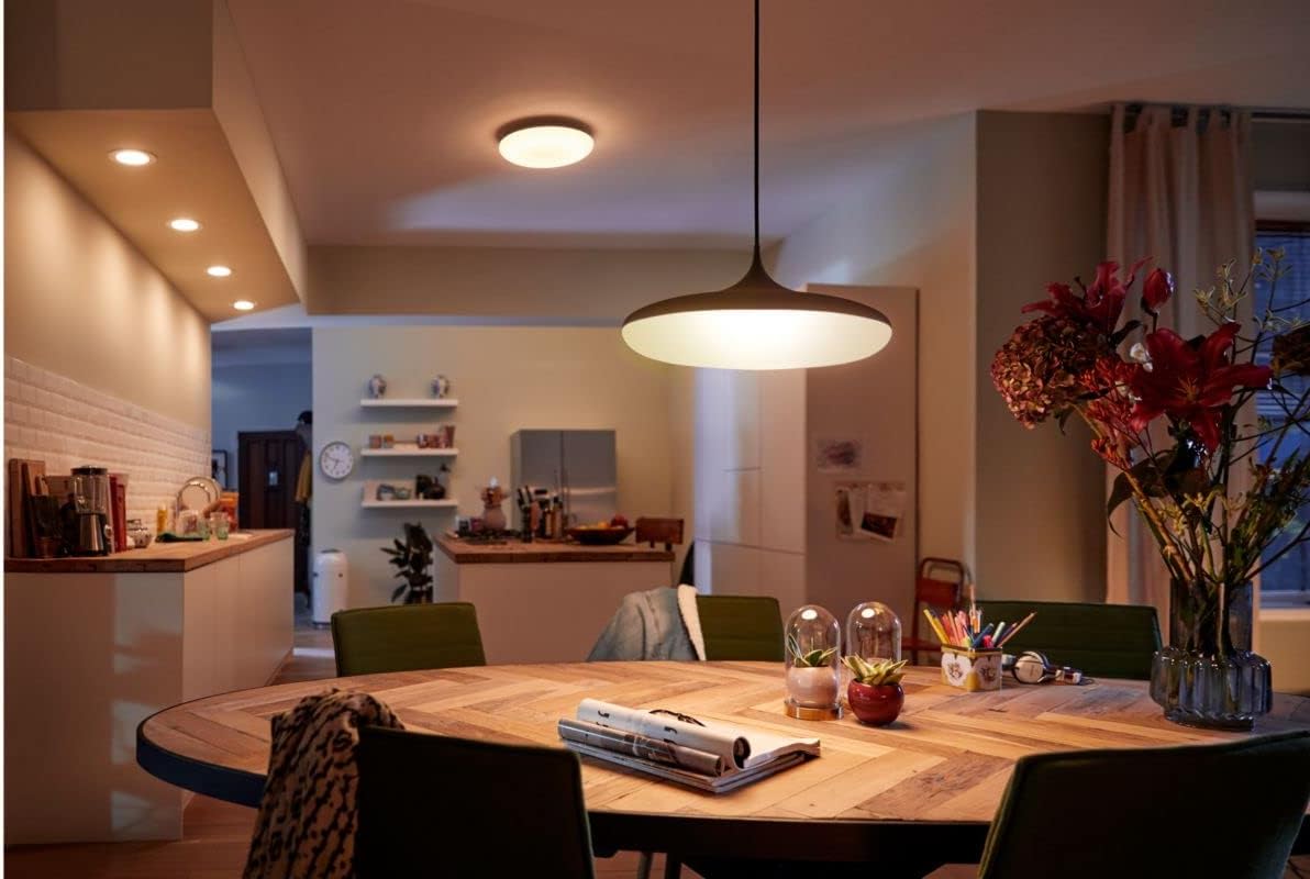  LED pendant Philips Cher Hue IP20 24W dimmable black