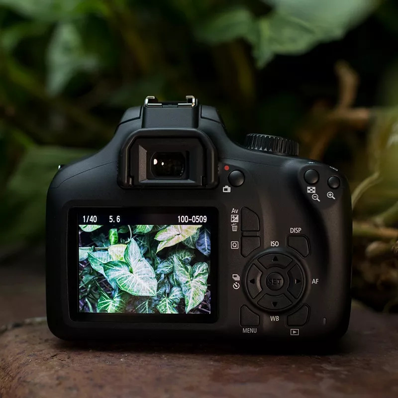 DSLR фотоапарат Canon - EOS 4000D